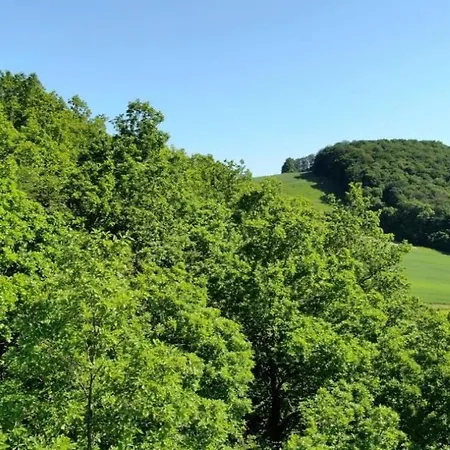 Sonnenweg 46 - Carla *